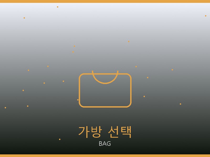 25호보백 레플리카 가방 선택 가이드
