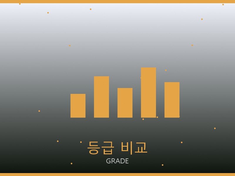 25호보백 레플리카 등급 기준 비교